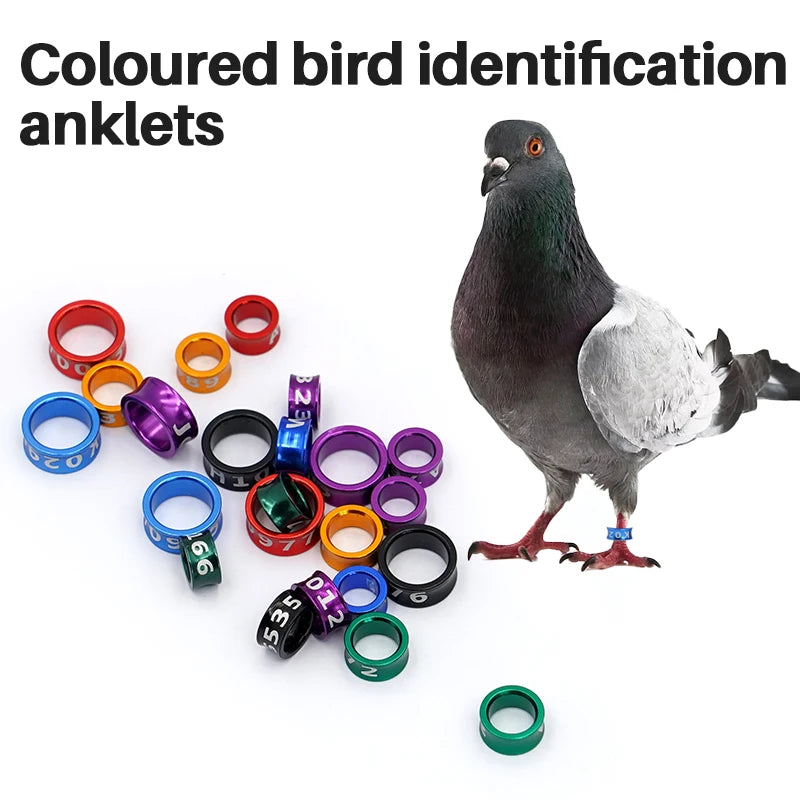 10 Piezas de anillos de pies de aluminio para aves con diámetro variado