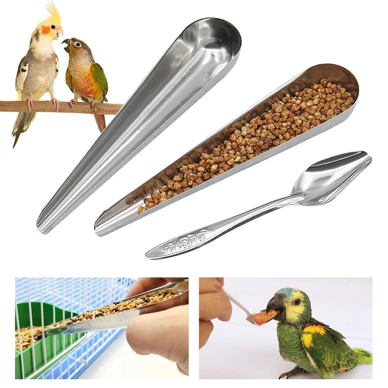 Cuchara alimentadora de acero inoxidable para aves, resistente y ligera