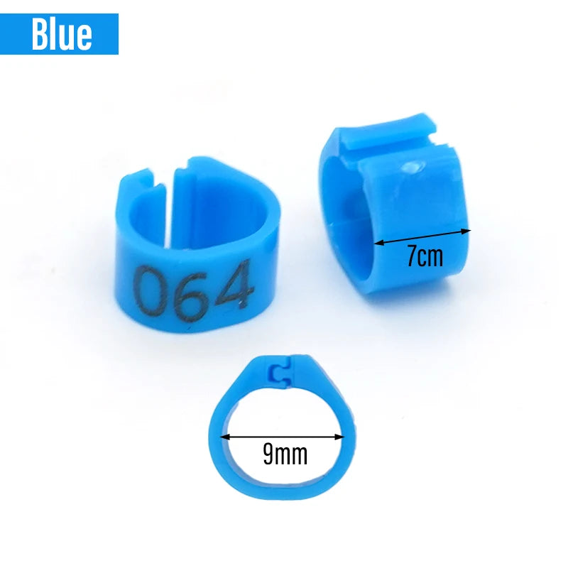 100 Piezas de aros para patas de aves de plástico con palabras para aves y ganado