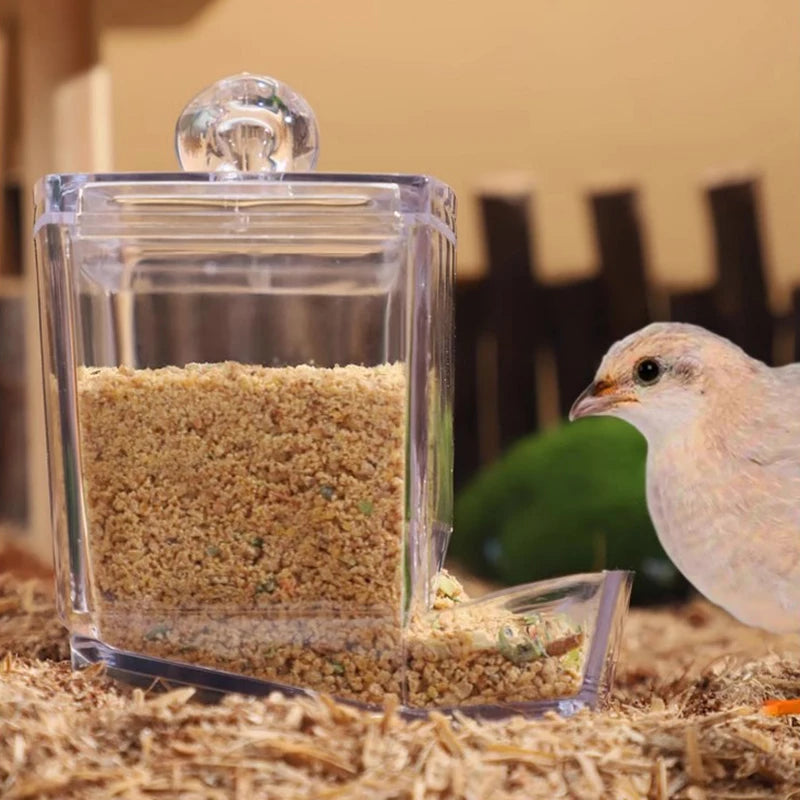 Dispensador de comida automática de acrílico para aves y pequeñas mascotas