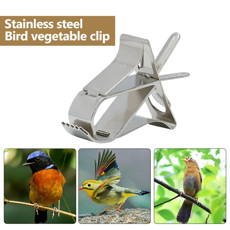 Pinzas de fruta para aves en acero inoxidable y plástico - Kit de clips para alimentación y alimentación segura para loros, aves pequeñas y roedores