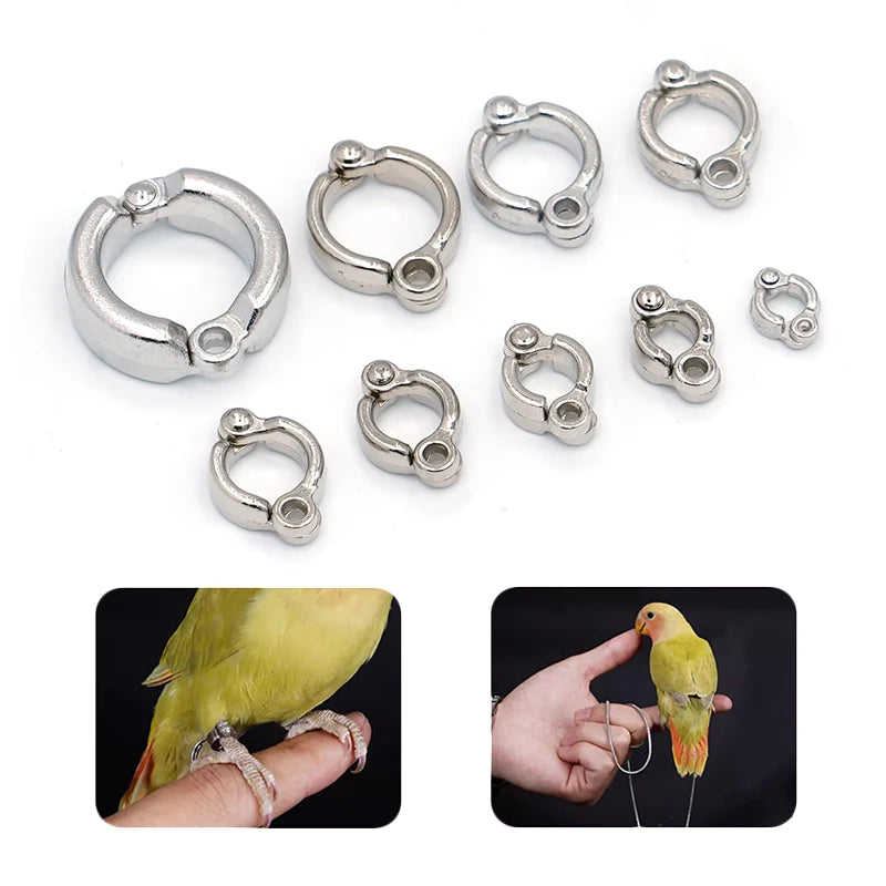 Anillo de pata para aves de acero inoxidable con cadena de seguridad de 50cm