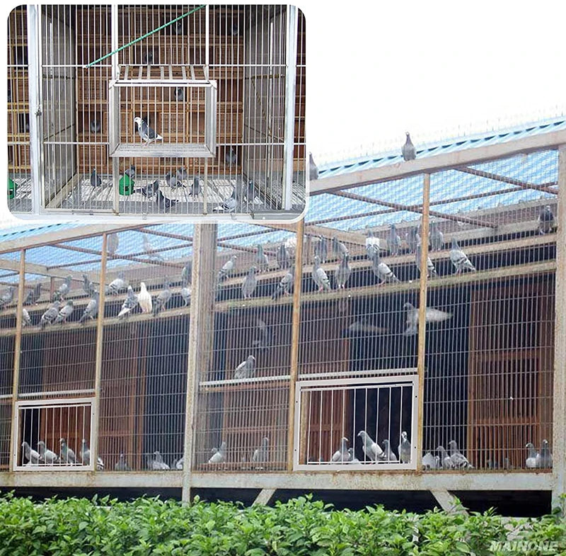 Puerta de entrada para palomas de metal con barras de alambre, resistente y duradera