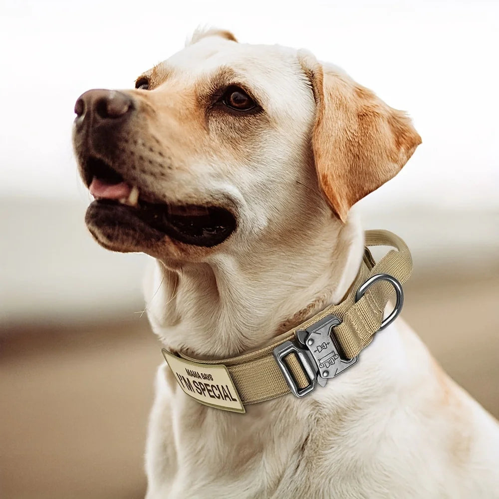 Collar táctico para perros con doble seguridad y ajuste personalizado