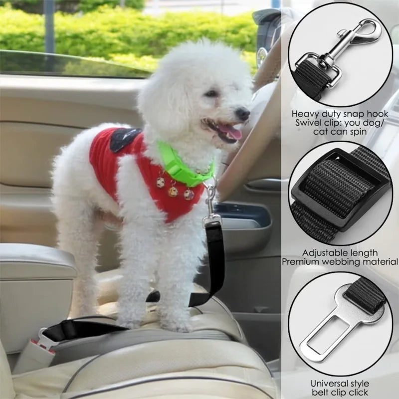 Correa de Seguridad para Perros para Viajes en Coche - Resistente, Confortable y en Variedad de Colores