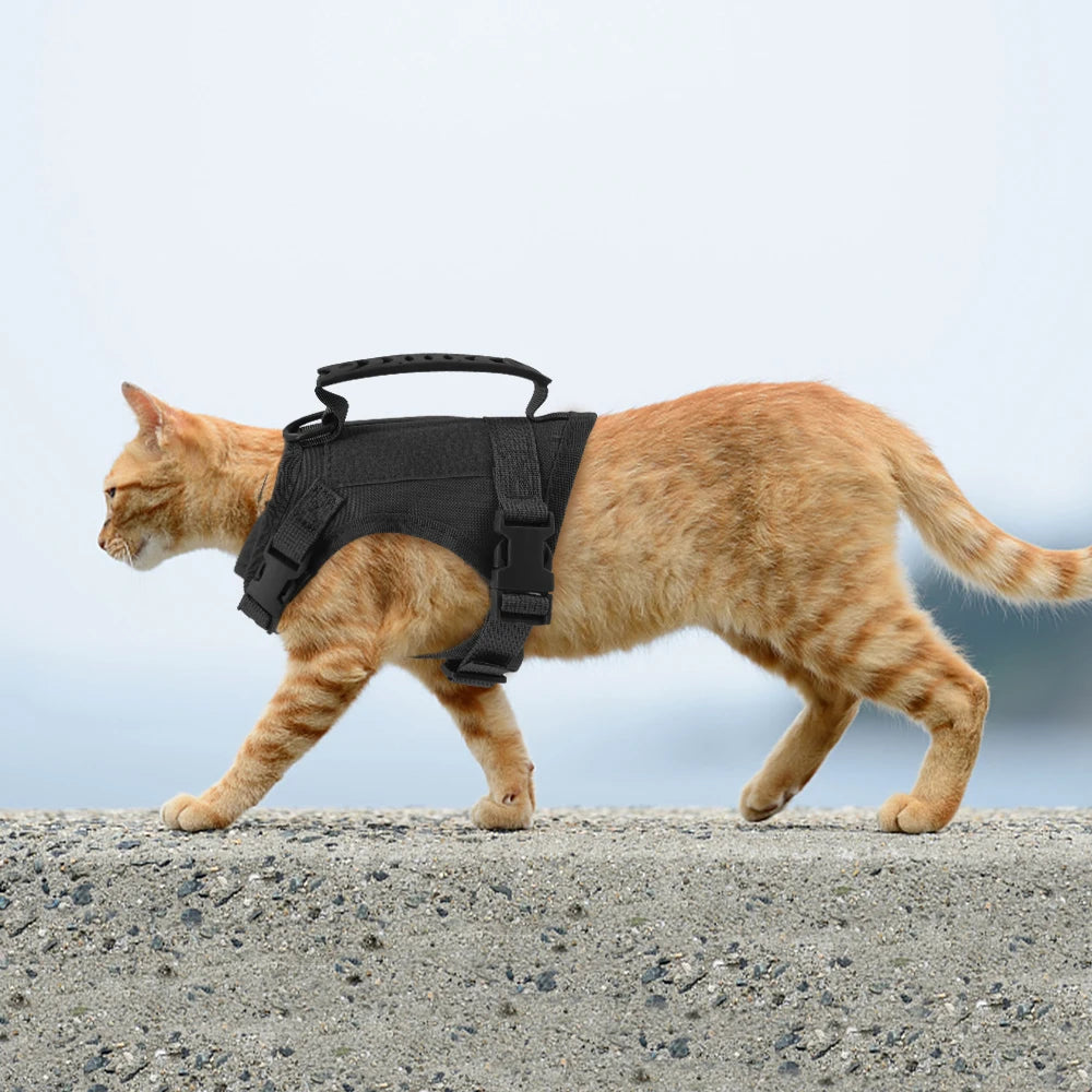 Arnés para perro cachorro ajustable y acolchado con sistema de liberación rápida