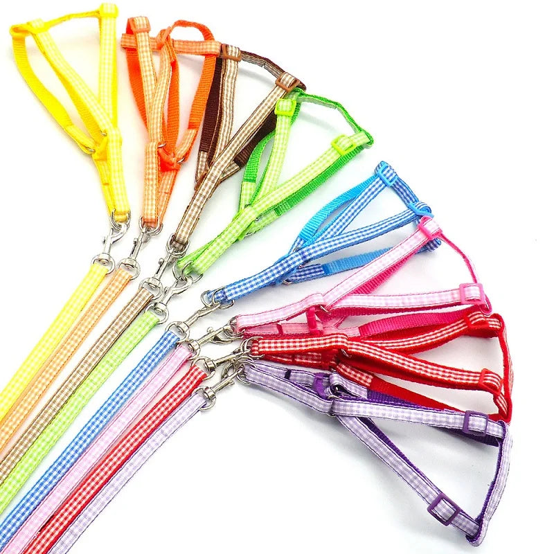 Correa para Perros y Gatos Personalizada en Nylon con Diseño Impreso – Ajustable y Ligera