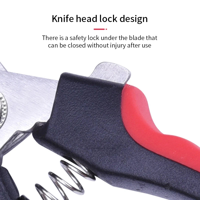 Signo de Pared para Mascotas - Decorativo y Funcional