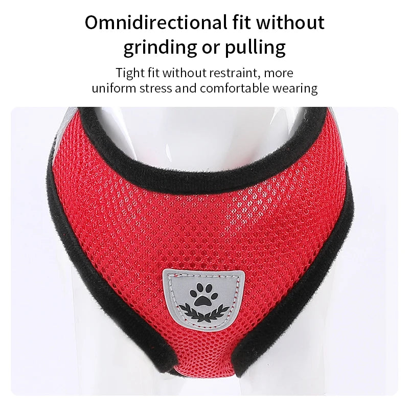 Arnés Reflectante Ajustable para Gatos y Perros con Cuerda de Tracción - Seguridad y Comodidad