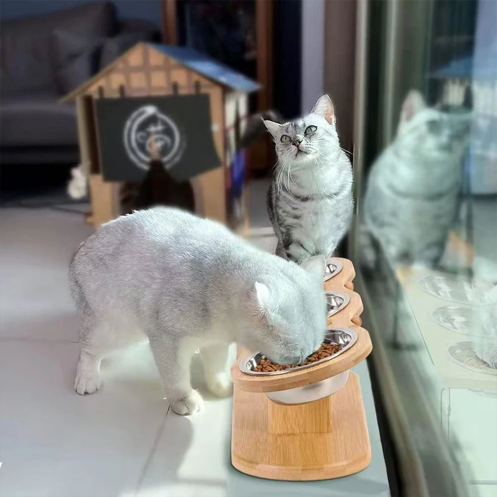 Fuente elevada con 3 cuencos de acero inoxidable para gatos y pequeños perros