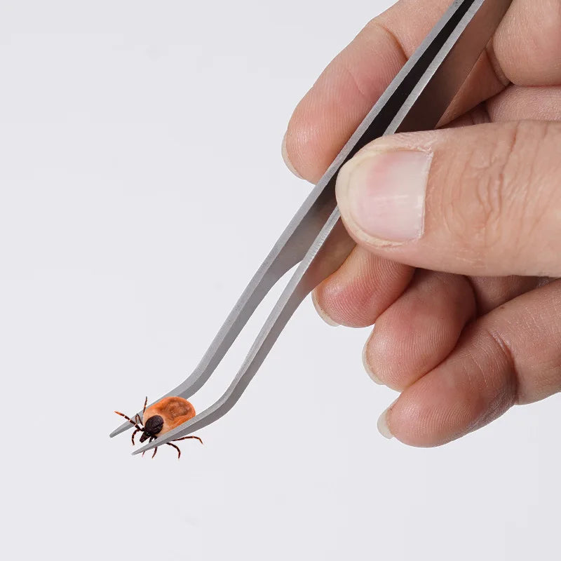 Accesorios para Pelaje de Perros en Metal – Elegantes y Resistentes