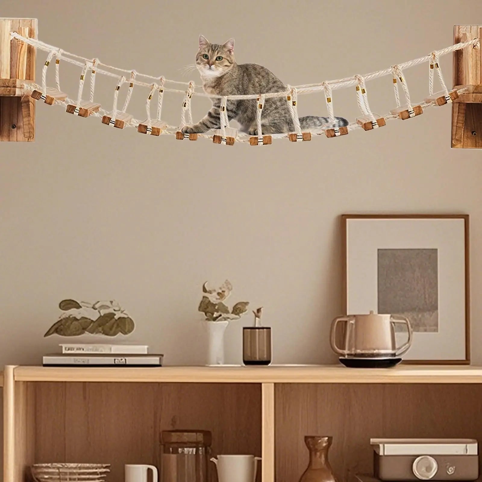 Puente y escalera de silicona para gatos con diseño resistente y largo para interior