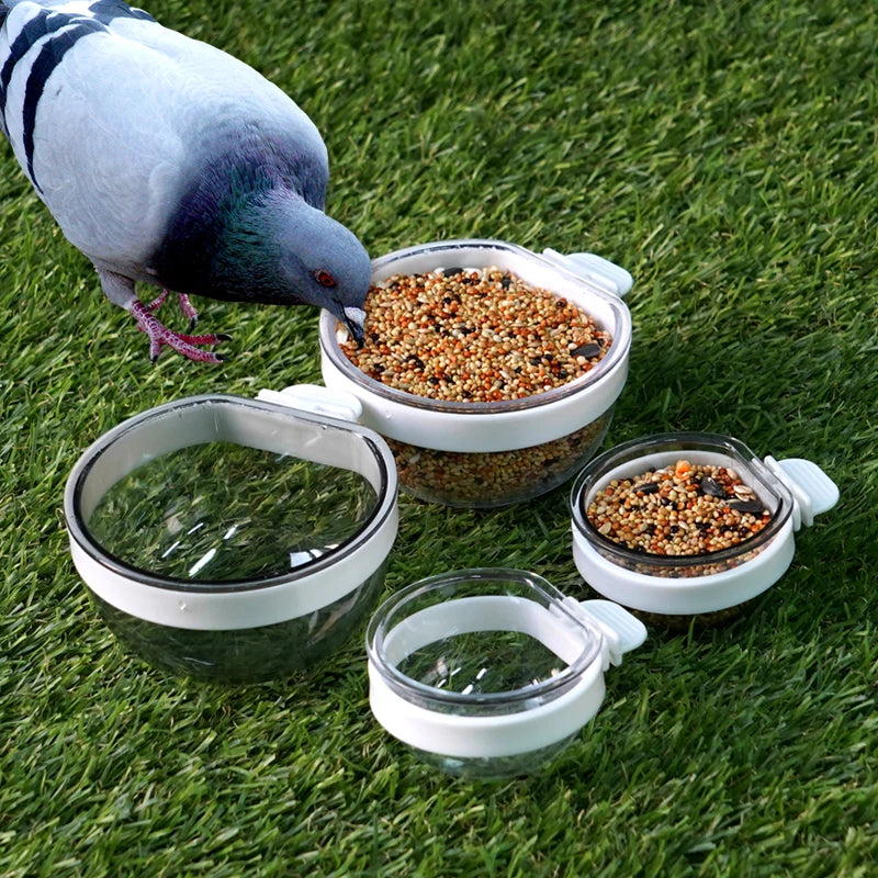 Cuenco de alimentación para aves plástico desmontable y transparente