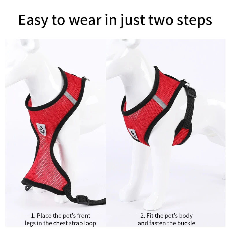 Arnés Reflectante Ajustable para Gatos y Perros con Cuerda de Tracción - Seguridad y Comodidad