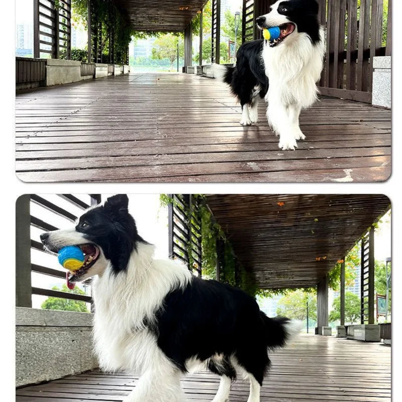 Pelotas para Perros de Plástico - Juguetes Duraderos y Divertidos