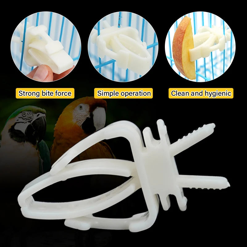 Pinzas de fruta para aves en acero inoxidable y plástico - Kit de clips para alimentación y alimentación segura para loros, aves pequeñas y roedores