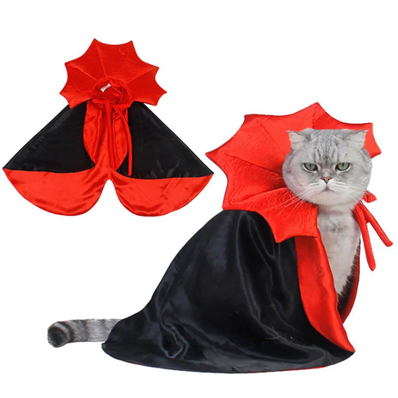 Capa de Fiesta para Gatos – Diseño de Calabaza, Ideal para Otoño e Invierno