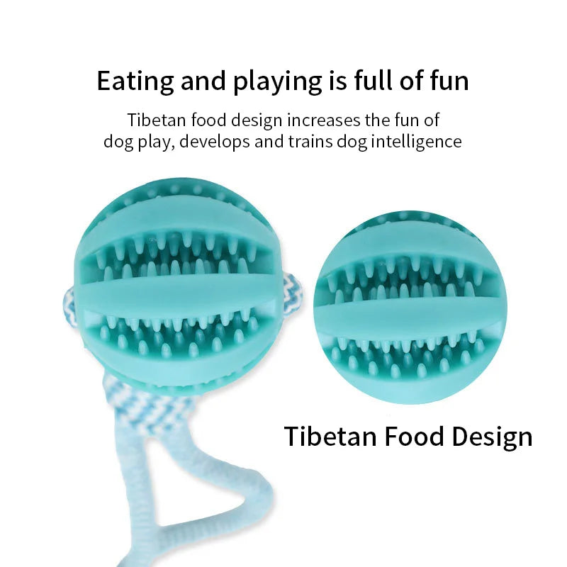 Pelotas de Juego para Perros con Función de Cuidado Dental y Entrenamiento IQ