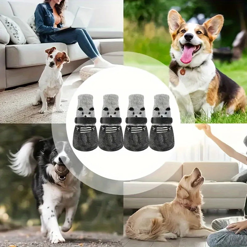 Calcetines y Zapatos para Perros en Diferentes Tallas y Colores