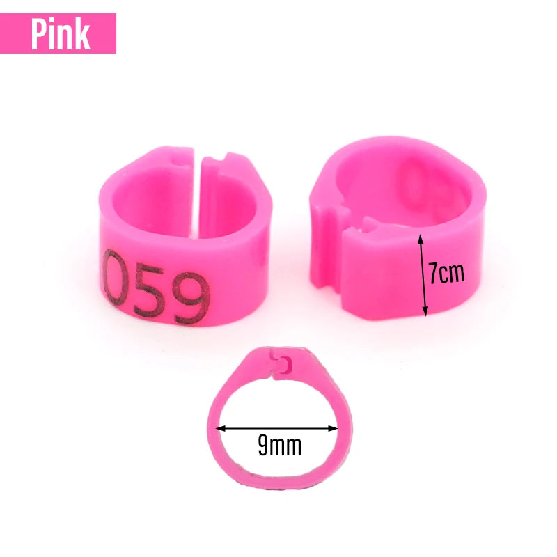 100 Piezas de aros para patas de aves de plástico con palabras para aves y ganado