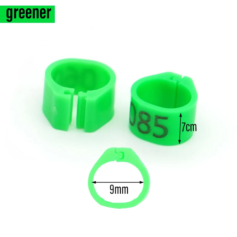 100 Piezas de aros para patas de aves de plástico con palabras para aves y ganado