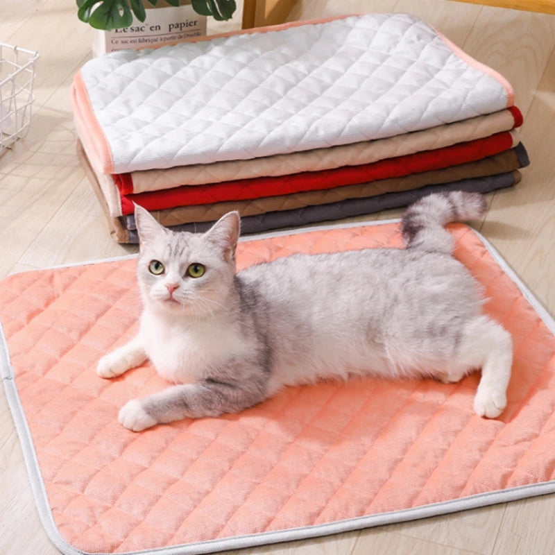 Alfombra-Cama para Perros BPEDT – Suave, Transpirable y Fácil de Limpiar