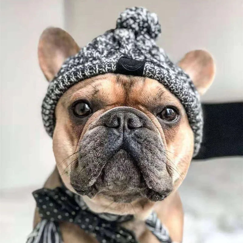 Gorro de Navidad para Perros en Color Gris - Acolchado, Tacto Suave y Diseño Con Estilo