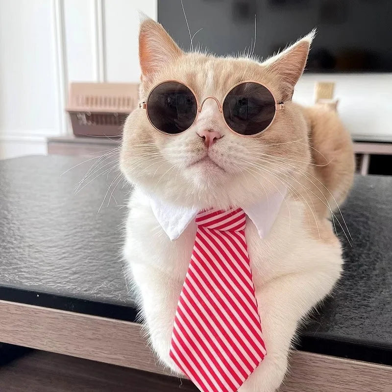 Corbata con Faja Personalizada para Gatos – Diseño a Cuadros y Ajustable