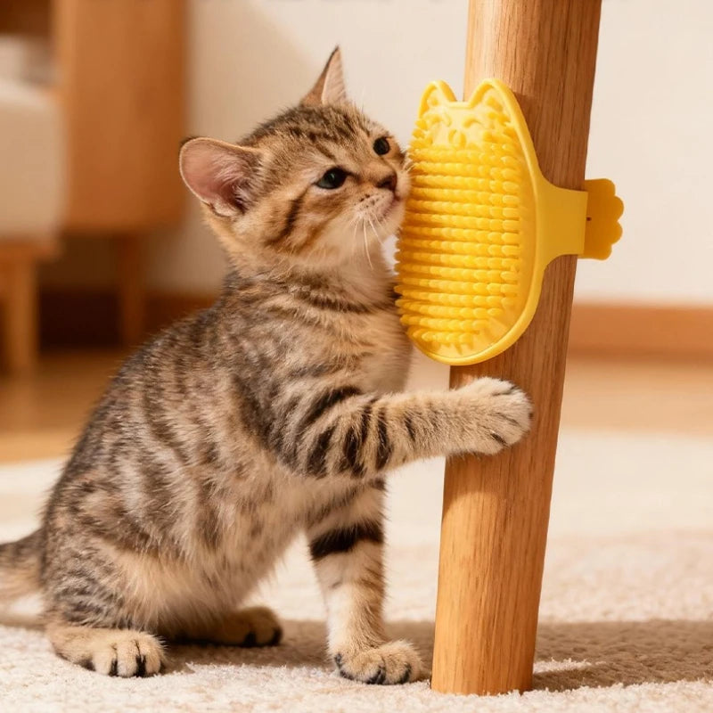 Peines para Gatos en Plástico – Cuidado y Mantenimiento del Pelaje