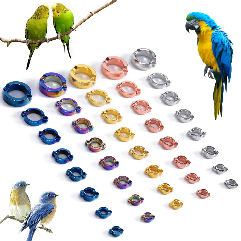 Anillos de pata metálicos para loros y aves de 4 a 15mm