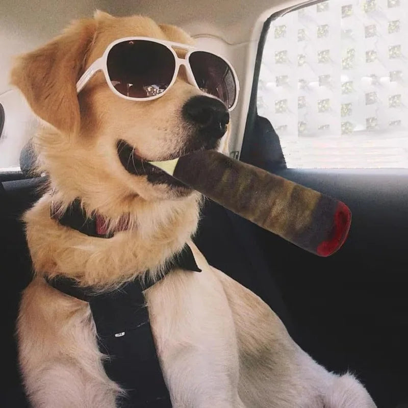 Juguete de Peluche para Perros - Suave, Duradero y Seguro