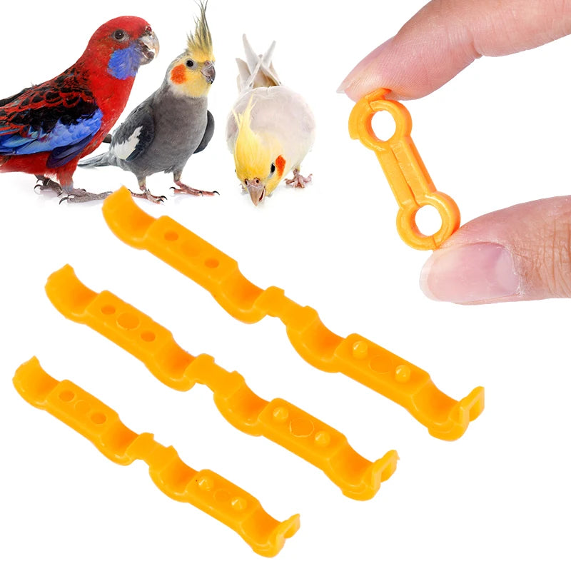 Corrector de pata para aves pequeñas en diferentes tamaños y colores