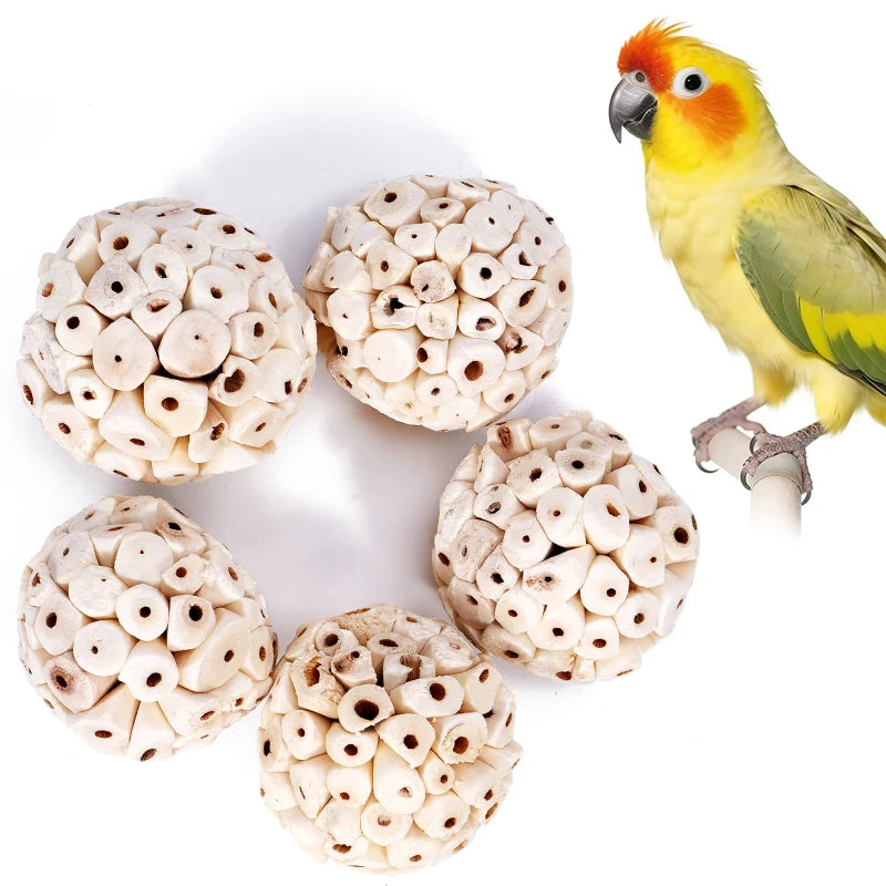 Pelota para roedores y aves, juguete natural de madera para masticar y jugar
