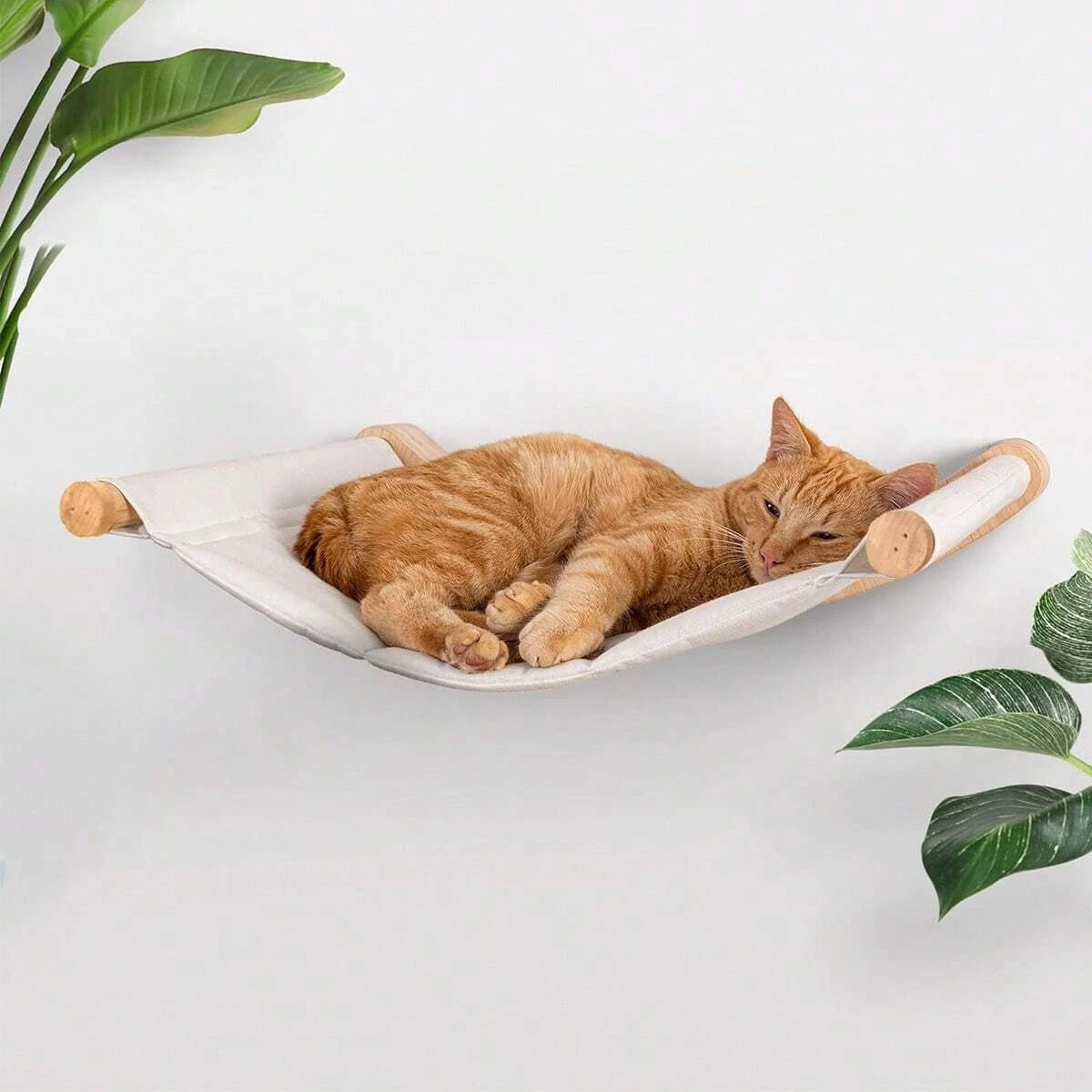 Hamaca de pared para gatos y árbol de un solo nivel en madera