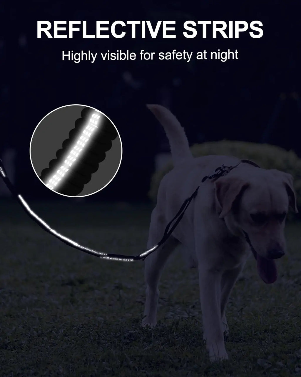 Correa retráctil para perros de alta resistencia con acolchado y reflectante