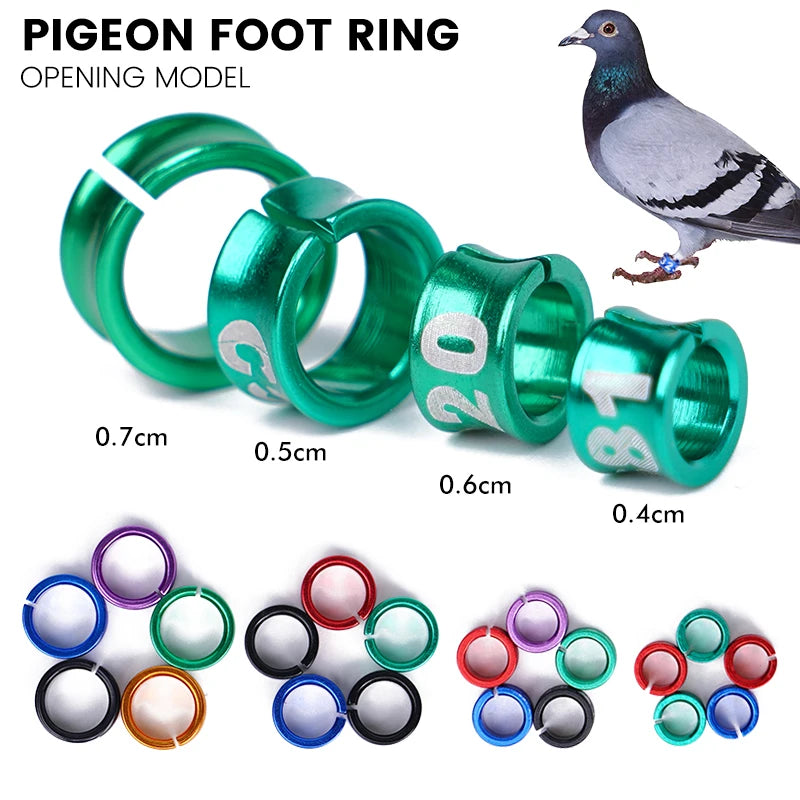 10Pcs Anillos para patas de aves en aluminio, identificación y entrenamiento al aire libre
