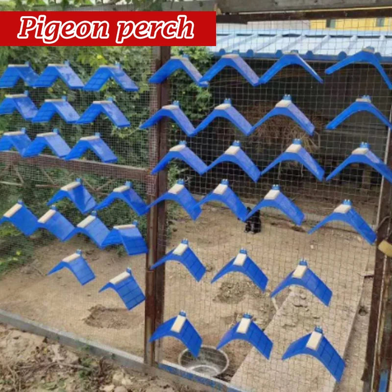 Soporte de descanso para aves en plástico con colores Azul y Verde - Pack de 10/20 unidades