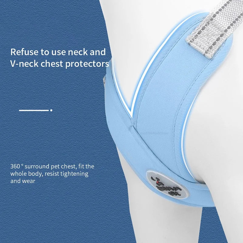 Conjunto de Arnés y Correa para Perros - Duradero, Personalizable y para Todas las Estaciones