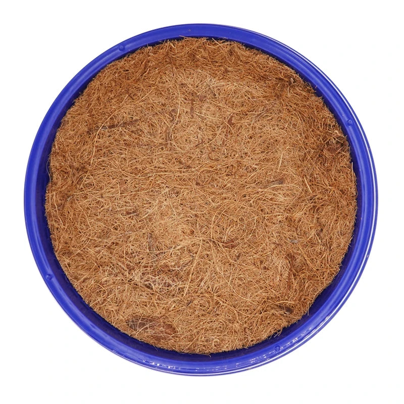 Nido para aves y huevos de paloma con base de césped y material duradero