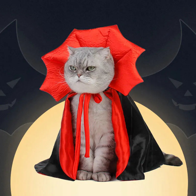 Capa de Fiesta para Gatos – Diseño de Calabaza, Ideal para Otoño e Invierno