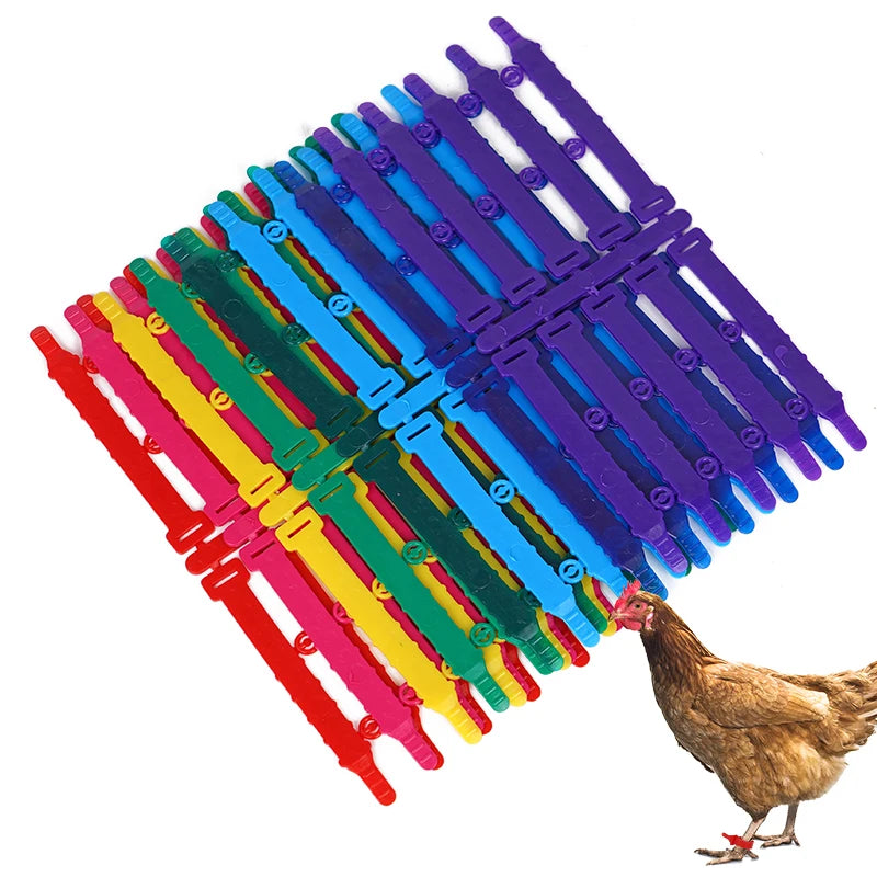 Anillos ajustables de PVC para aves de corral en diferentes colores - Pack de 30 o 50 unidades