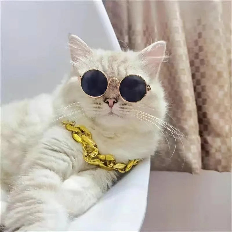 Accesorios para Gatos - Gafas de Metal con Diseño Elegante y Ajuste Perfecto