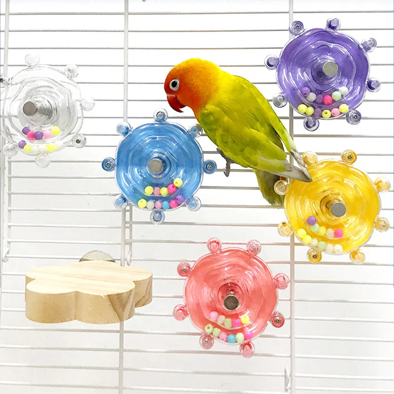 Accesorios para Pájaros – Diversos modelos y diseños para la comodidad y entretenimiento de tus aves