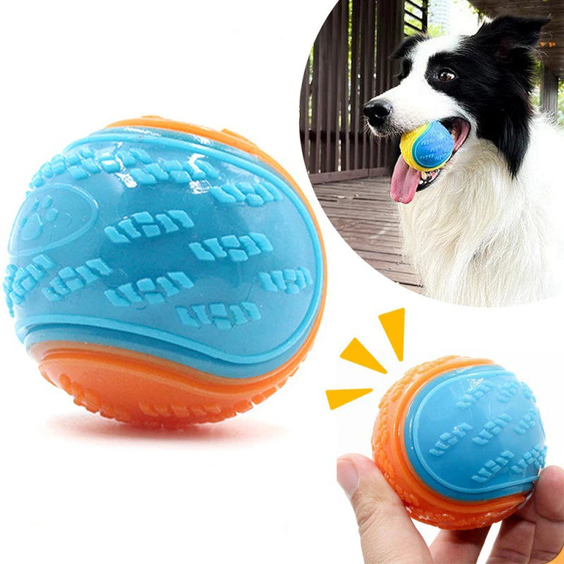 Pelotas de Plástico para Perros