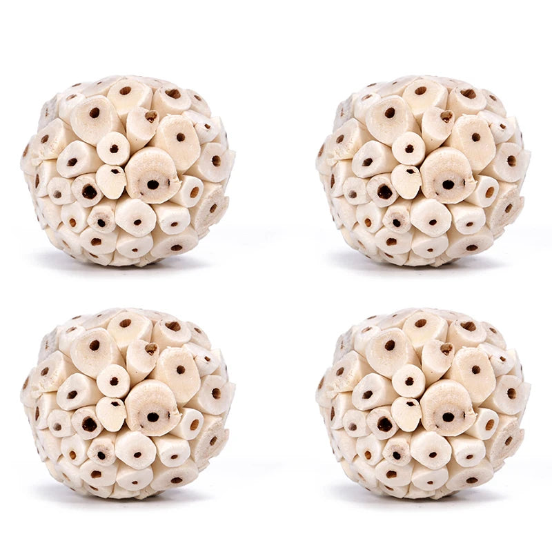 Pelota para roedores y aves, juguete natural de madera para masticar y jugar