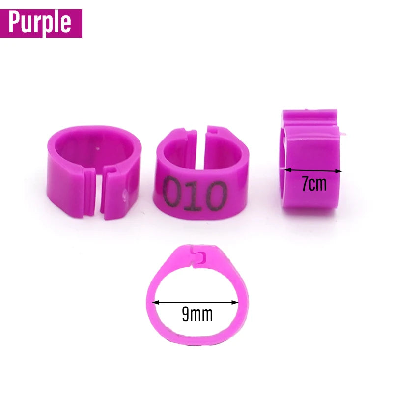 100 Piezas de aros para patas de aves de plástico con palabras para aves y ganado