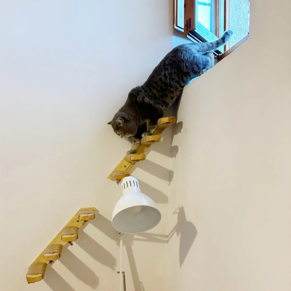 Escaleras de pared para gatos y estanterías de escalada en varias alturas