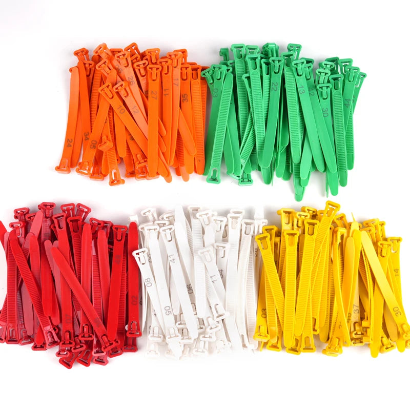 Anillos ajustables para patas de aves de gran calidad en varios colores y tamaños