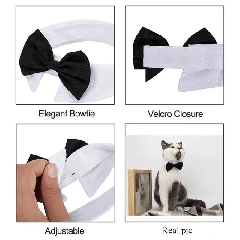 Corbata y Laço para Perros - Elegante, Suave y Perfecta para Ocasiones Especiales