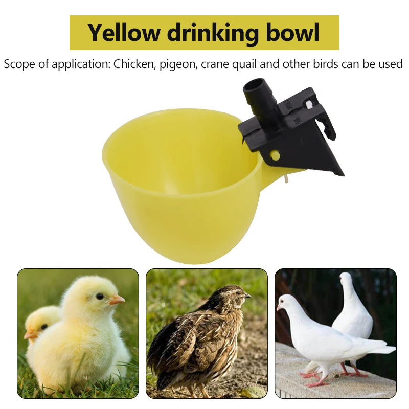 Bandeja de agua automática para aves y aves de corral - 5/10 unidades